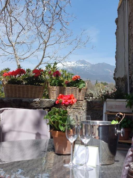 Villa Segreta, Mount Etna Белпасо Екстериор снимка